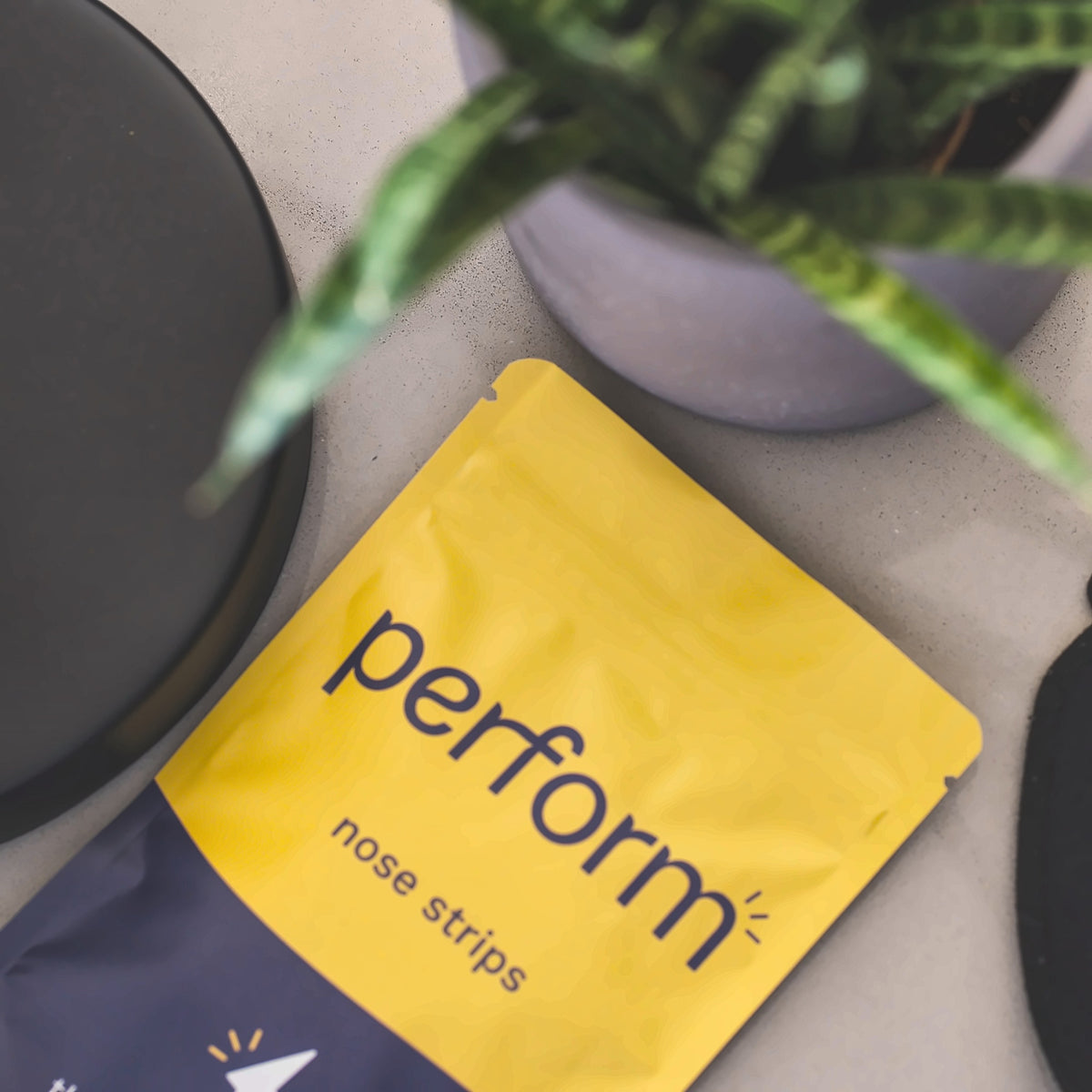 Perform nose strips pouch on a stone surface next to a plant